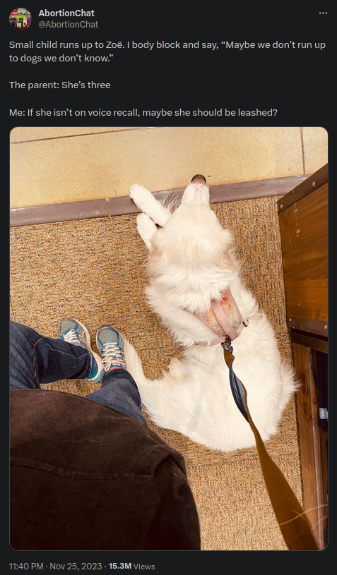 Tweet contains a picture of a dog, sitting right next to the legs of a human. It reads: Small child runs up to Zoë. I body block and say, “Maybe we don’t run up to dogs we don’t know.” The parent: She’s three Me: If she isn’t on voice recall, maybe she should be leashed?